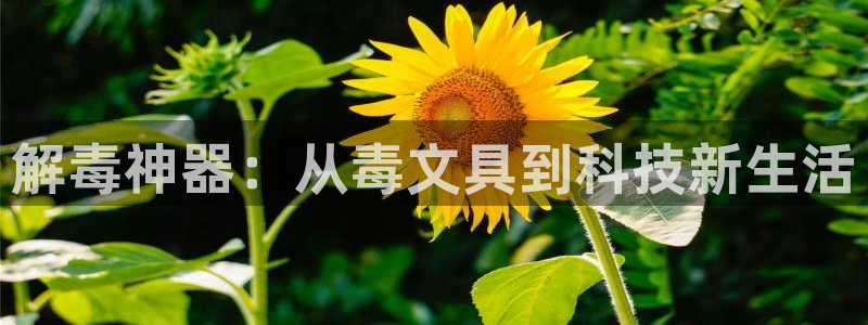 天顺娱乐期默55312：解毒神器：从毒文