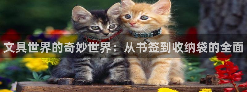 天顺娱乐负责人冖家p29999：文具世界