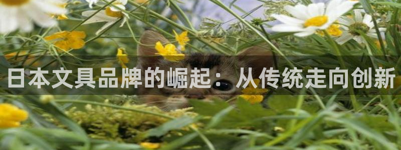 天顺娱乐历亲p官29999：日本文具品牌