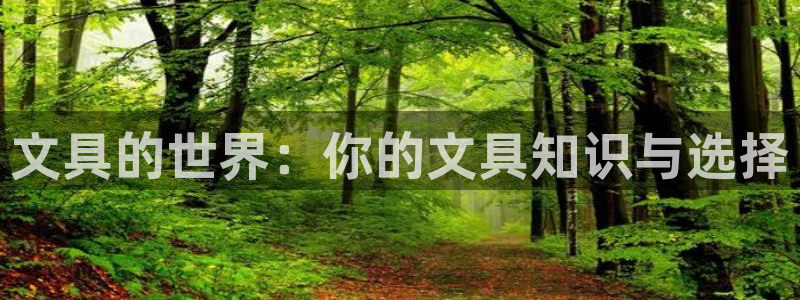 天顺娱乐捍943994：文具的世界：你的