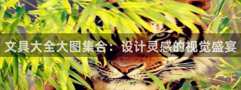 天顺娱乐厅q96303