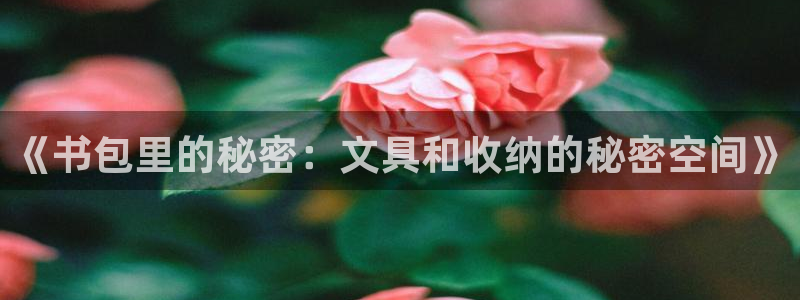 天顺娱乐app