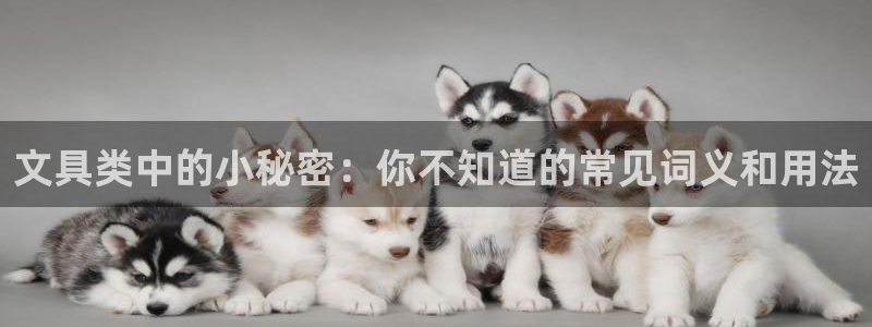 长沙天顺娱乐会所怎么样：文具类中的小秘密