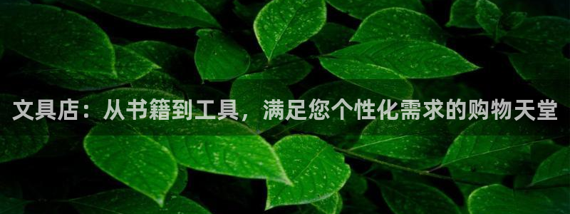 天顺娱乐毡78778：文具店：从书籍到工