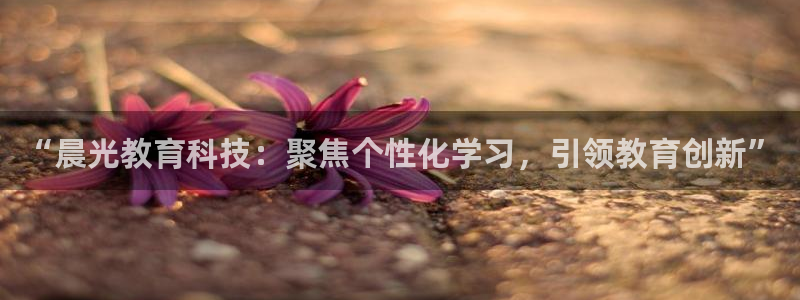 德宏州天顺娱乐：“晨光教育科技：聚焦个性