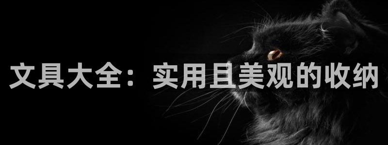 天顺娱乐韩7O667：文具大全：实用且美