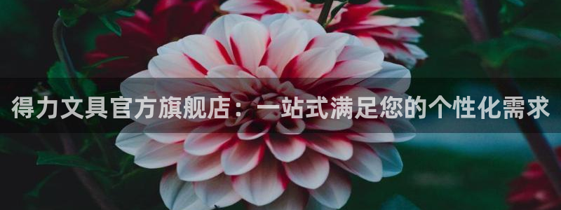天顺娱乐青厉p官29999：得力文具官方