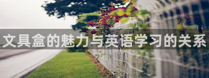 天顺娱乐pg22650：文具盒的魅力与英
