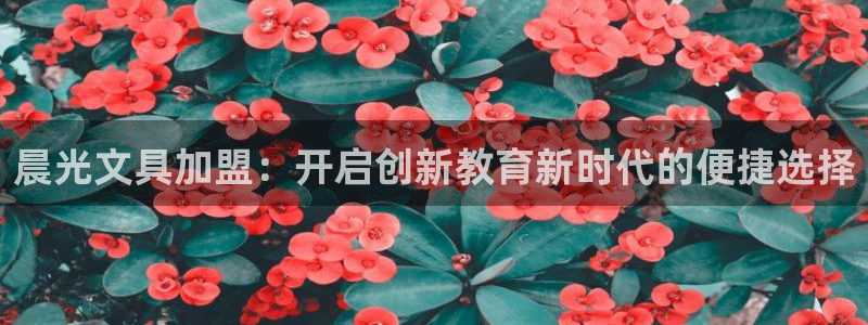 天顺娱乐皿金手指下拉8：晨光文具加盟：开