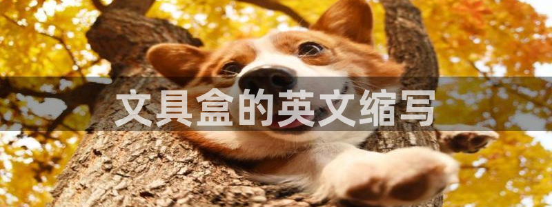 玛雅集团天顺娱乐：文具盒的英文缩写