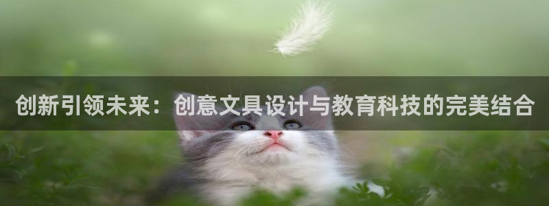 天顺娱乐主管学：创新引领未来：创意文具设