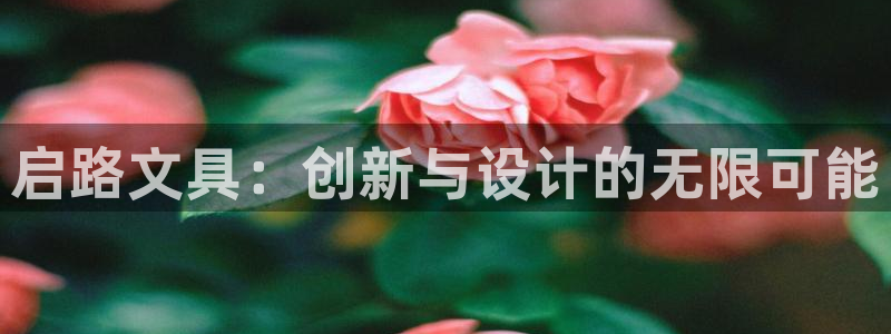 天顺娱乐皿金手指下拉5：启路文具：创新与