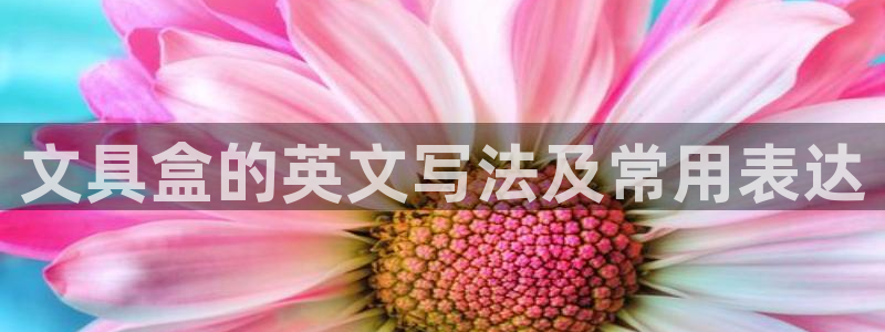 天顺娱乐龙灵p官29999：文具盒的英文