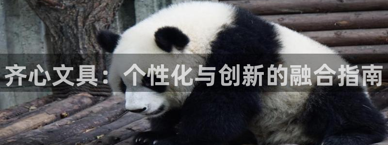 天顺娱乐注册登录地址：齐心文具：个性化与