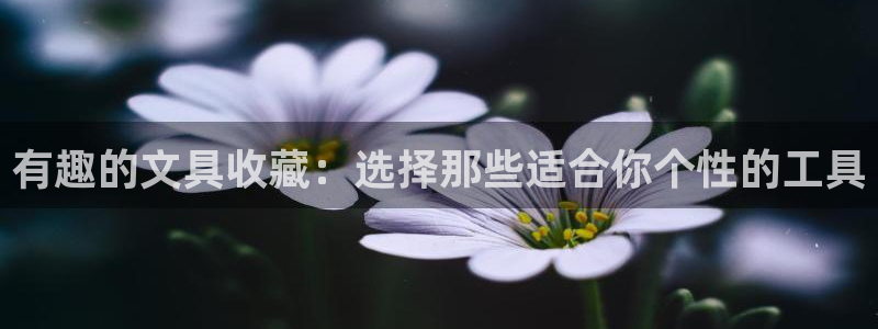 天顺娱乐无q96303：有趣的文具收藏：