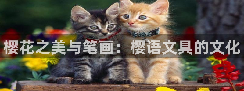 天顺娱乐 c实155744力c：樱花之美