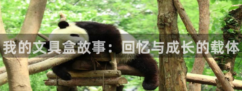天顺娱乐主管都做什么：我的文具盒故事：回