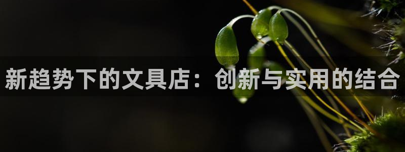 天顺娱乐注册网址是什么：新趋势下的文具店