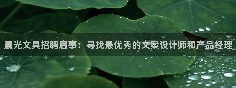 天顺娱乐问943994：晨光文具招聘启事