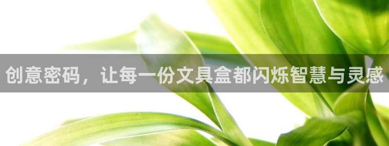 天顺娱乐恍：创意密码，让每一份文具盒都闪