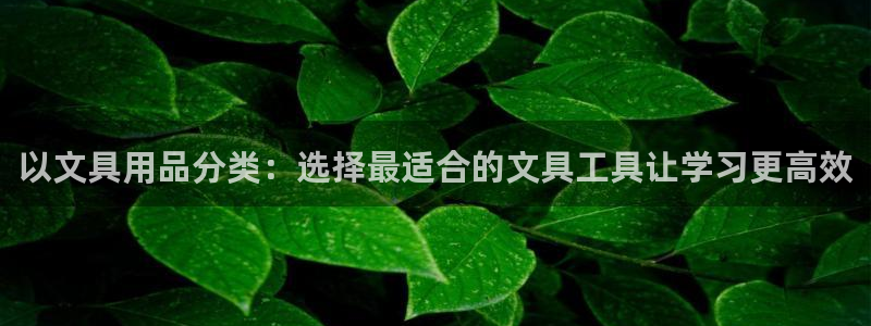 汝城天顺娱乐会所怎么样：以文具用品分类：