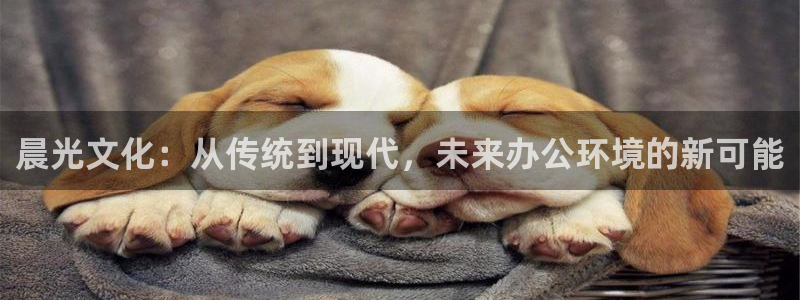 天顺娱乐赌钱的吗：晨光文化：从传统到现代