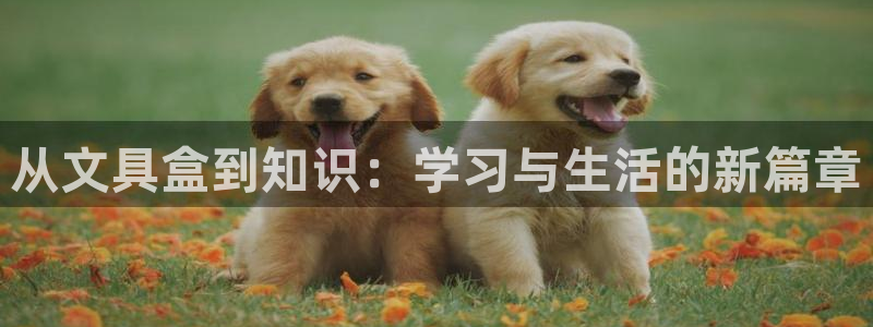 天顺娱乐贪牌70 48：从文具盒到知识：