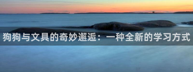 天顺娱乐代理网址：狗狗与文具的奇妙邂逅：