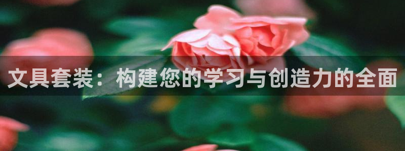 天顺娱乐主管年收入：文具套装：构建您的学