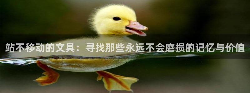 天顺娱乐可74OO5：站不移动的文具：寻