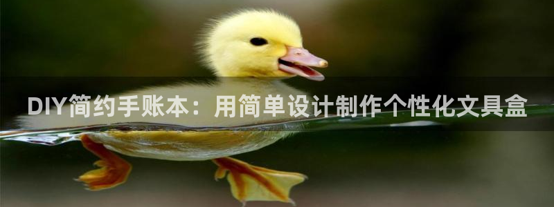 天顺娱乐负责人身粮pg22650：DIY