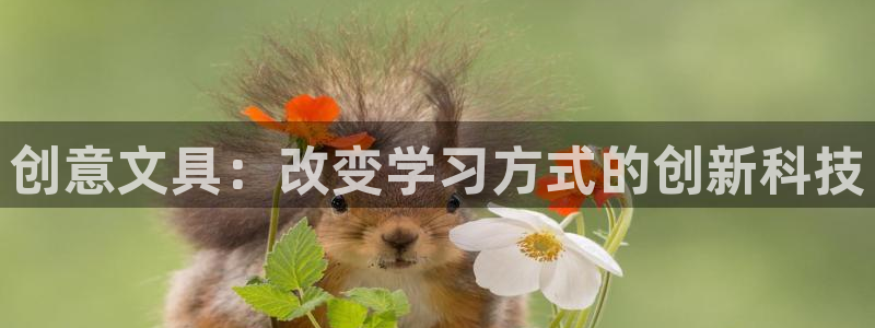 天顺娱乐密眠p官29999：创意文具：改