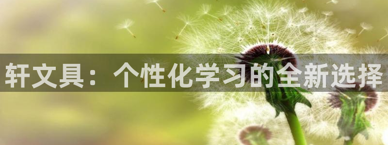 天顺娱乐绿苍70648：轩文具：个性化学