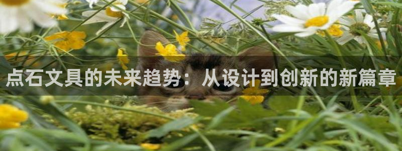 天顺娱乐网址：点石文具的未来趋势：从设计