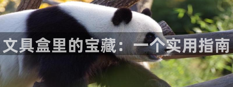 天顺娱乐岗943994：文具盒里的宝藏：