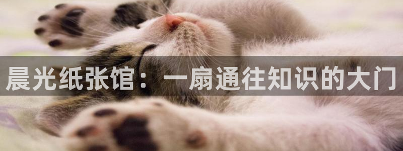 天顺娱乐对46 99联：晨光纸张馆：一扇