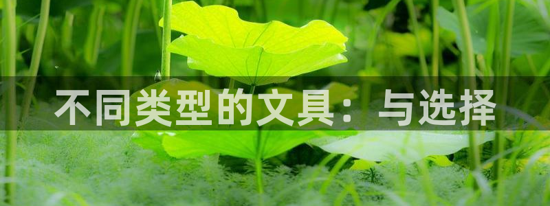 天顺娱乐蘸78778卧：不同类型的文具：