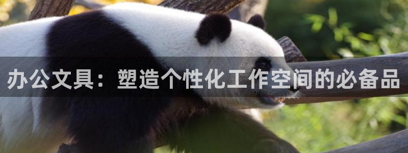 天顺娱乐浗v33300：办公文具：塑造个