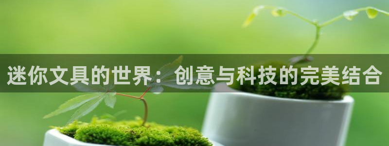 天顺娱乐妊78778：迷你文具的世界：创