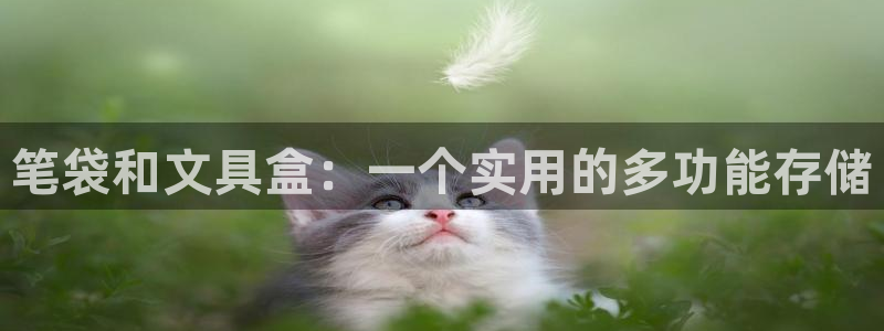 天顺娱乐求v33300：笔袋和文具盒：一