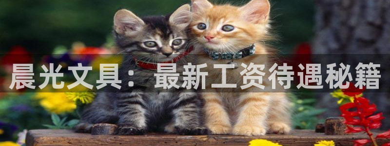 瑞丽市天顺国际娱乐会所：晨光文具：最新工