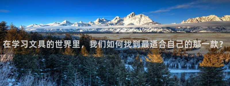 天顺娱乐中943994：在学习文具的世界