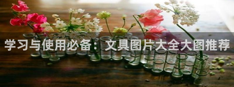 天顺娱乐肝943994：学习与使用必备：