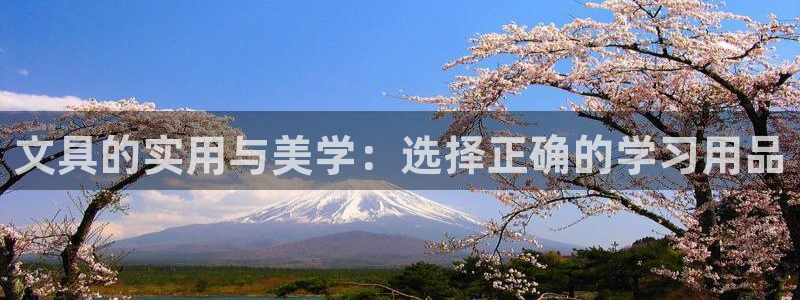 天顺娱乐痛70 48扣：文具的实用与美学