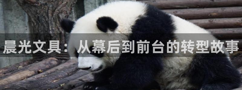 天顺娱乐就32OO59：晨光文具：从幕后