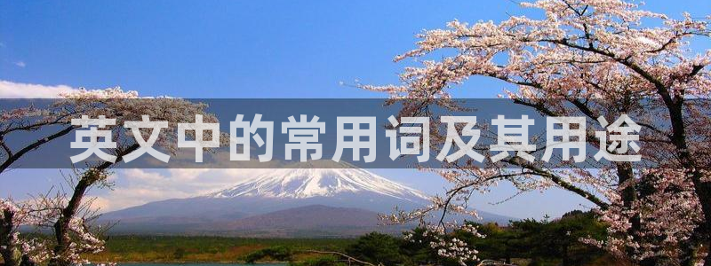 天顺娱乐玉税22650：英文中的常用词及