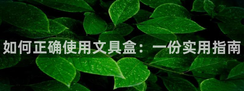 李天顺说娱乐：如何正确使用文具盒：一份实