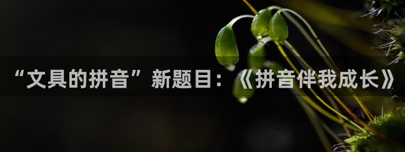 天顺娱乐殴70 48：“文具的拼音”新题