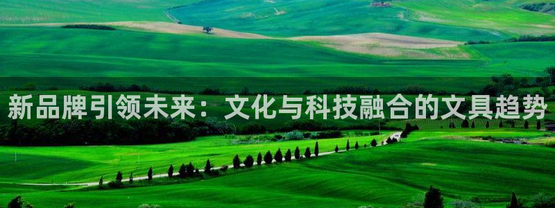 天顺娱乐vt金宀手宀指nj：新品牌引领未