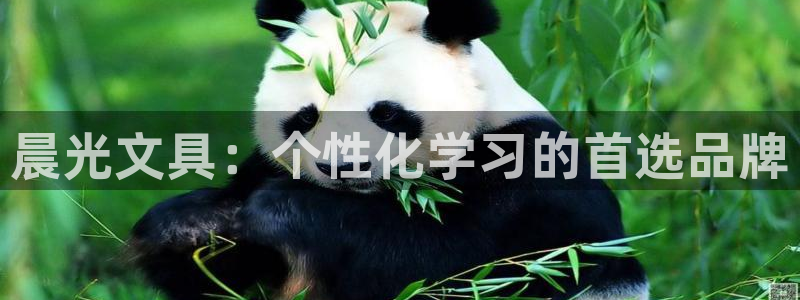 天顺娱乐开户绰坷40996q：晨光文具：